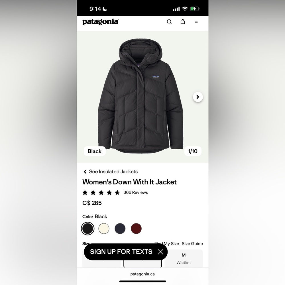Patagonia puffy coat